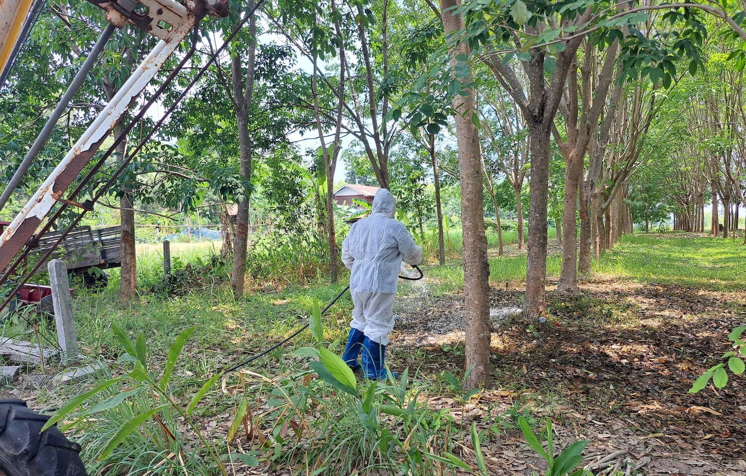 Thailand reports first anthrax death in 30 years, health alert issued | News by Thaiger