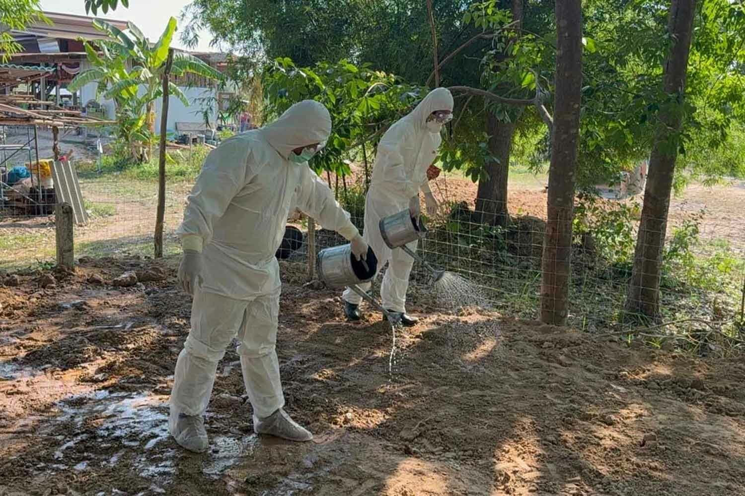 Fourth anthrax case confirmed in northeast Thailand outbreak | News by Thaiger