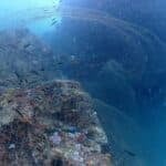 Urgent call for help to remove massive net from coral reef | Thaiger