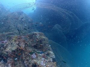 Urgent call for help to remove massive net from coral reef