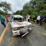 Falling tree kills couple in Mukdahan, teenage daughter survives | Thaiger