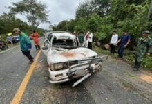 Falling tree kills couple in Mukdahan, teenage daughter survives