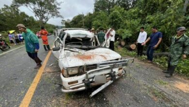 Falling tree kills couple in Mukdahan, teenage daughter survives