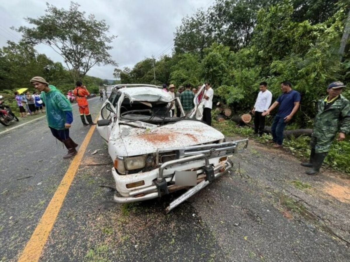Falling tree kills couple in Mukdahan, teenage daughter survives
