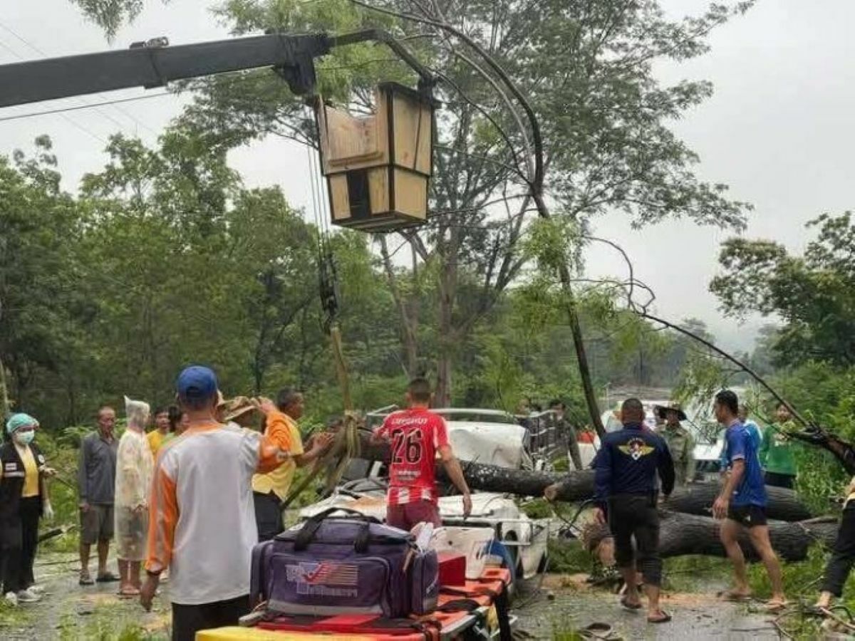 Falling tree kills couple in Mukdahan, teenage daughter survives | News by Thaiger