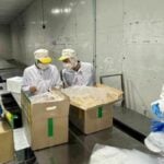 Thailand tightens checks on frozen durian imports to boost safety