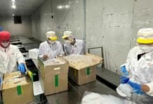 Thailand tightens checks on frozen durian imports to boost safety