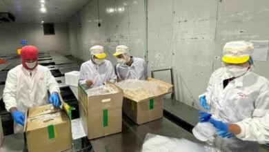 Thailand tightens checks on frozen durian imports to boost safety