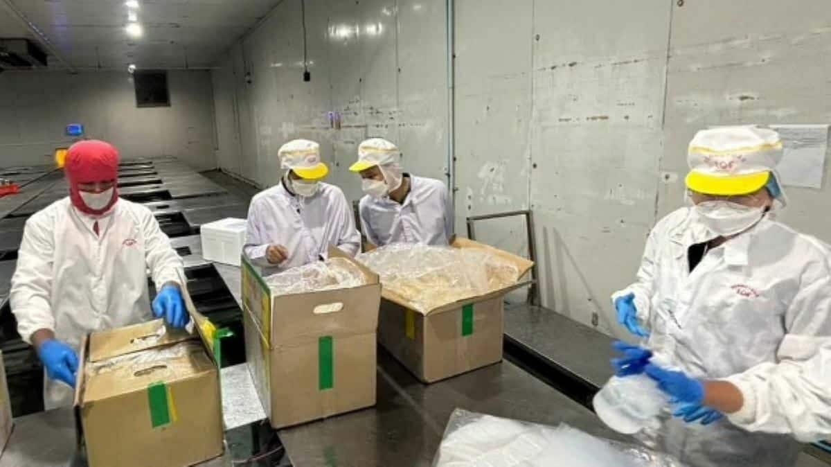 Thailand tightens checks on frozen durian imports to boost safety