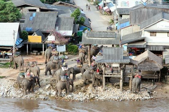 Kok River contamination sparks fears in northern Thailand | News by Thaiger