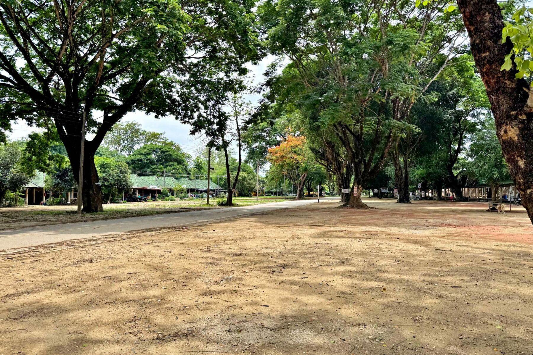 Chiang Rai restaurant struggles as tourists flee contamination fears | News by Thaiger