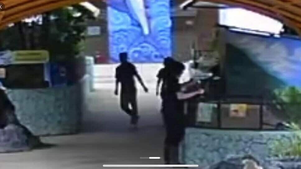 Chinese arrested for molesting intern at Chiang Mai aquarium | News by Thaiger