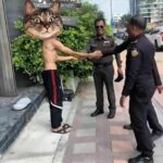Pattaya officers puzzled by foreign tourist’s erratic behaviour | Thaiger