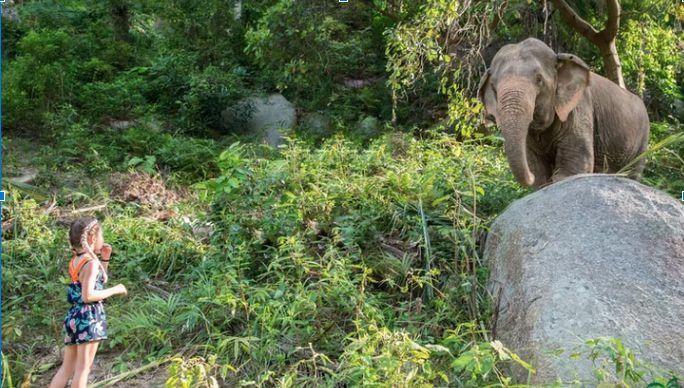 Top 5 kid-friendly experiences on Koh Samui | News by Thaiger
