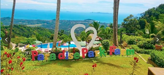 Top 5 kid-friendly experiences on Koh Samui | News by Thaiger