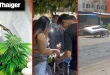 Thailand video news | Thailand to enforce medical certification for cannabis use, Malaysia & Thailand to upgrade cross-border power grid
