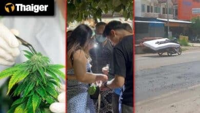 Thailand video news | Thailand to enforce medical certification for cannabis use, Malaysia & Thailand to upgrade cross-border power grid
