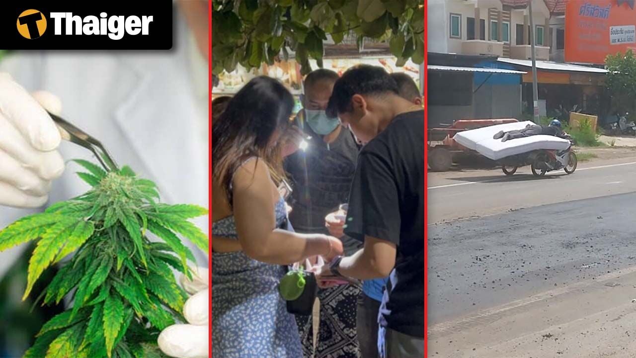 Thailand video news | Thailand to enforce medical certification for cannabis use, Malaysia & Thailand to upgrade cross-border power grid