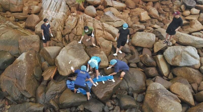 Phuket marine life in crisis as biologists save species | News by Thaiger