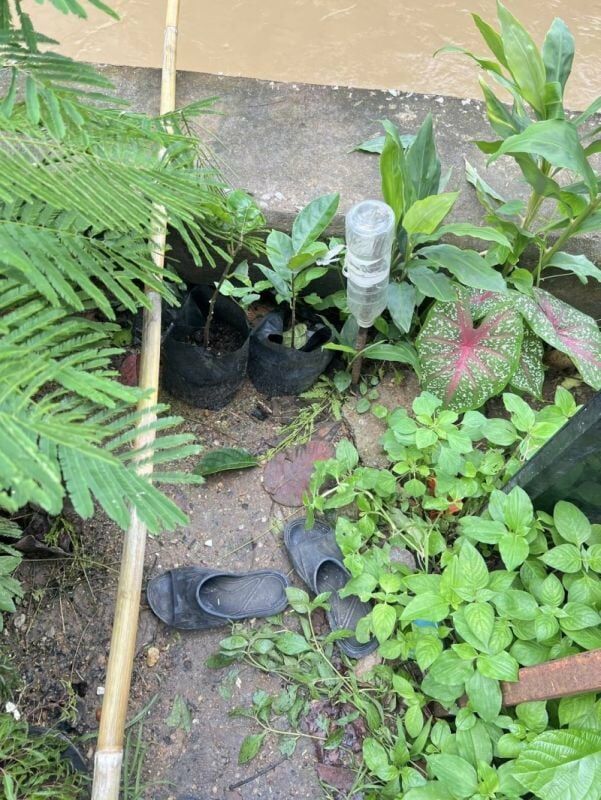 Tragedy strikes: Missing granny found dead in Phuket canal | News by Thaiger