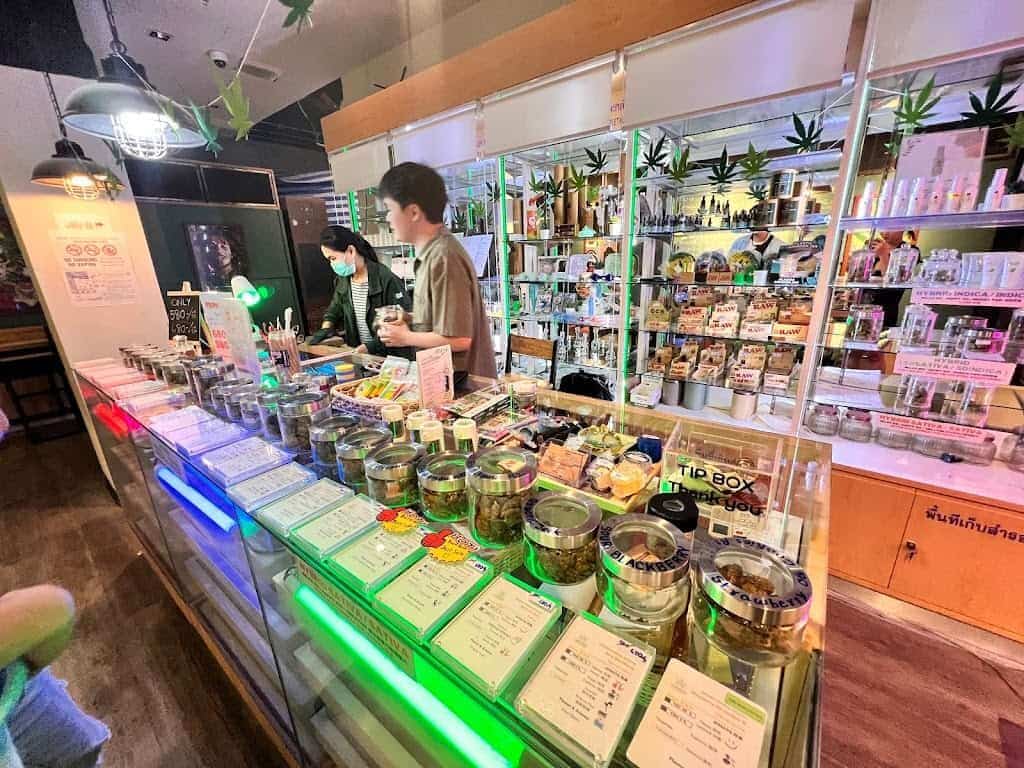 High alert: Phuket to zone out cannabis amid tourist backlash | News by Thaiger