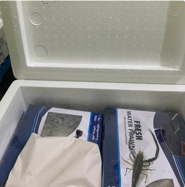 Woman caught smuggling exotic food from Thailand into Australia | News by Thaiger