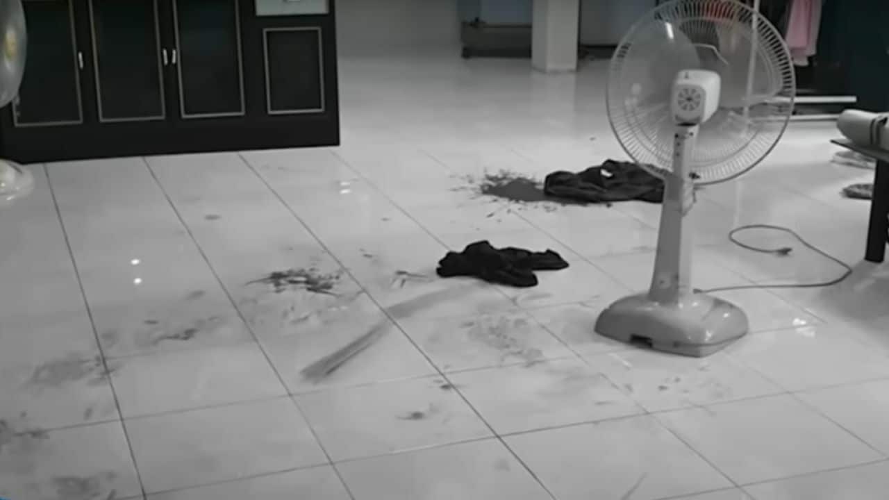 Drug-addicted man attempted to rape and later killed his cousin