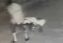 Thai man beats wife to death with pestle and dumps her in pond