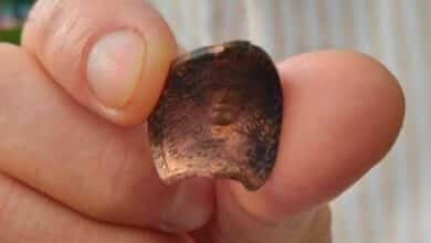 Buddhist amulet saves Thai man from shooting in Bangkok restaurant