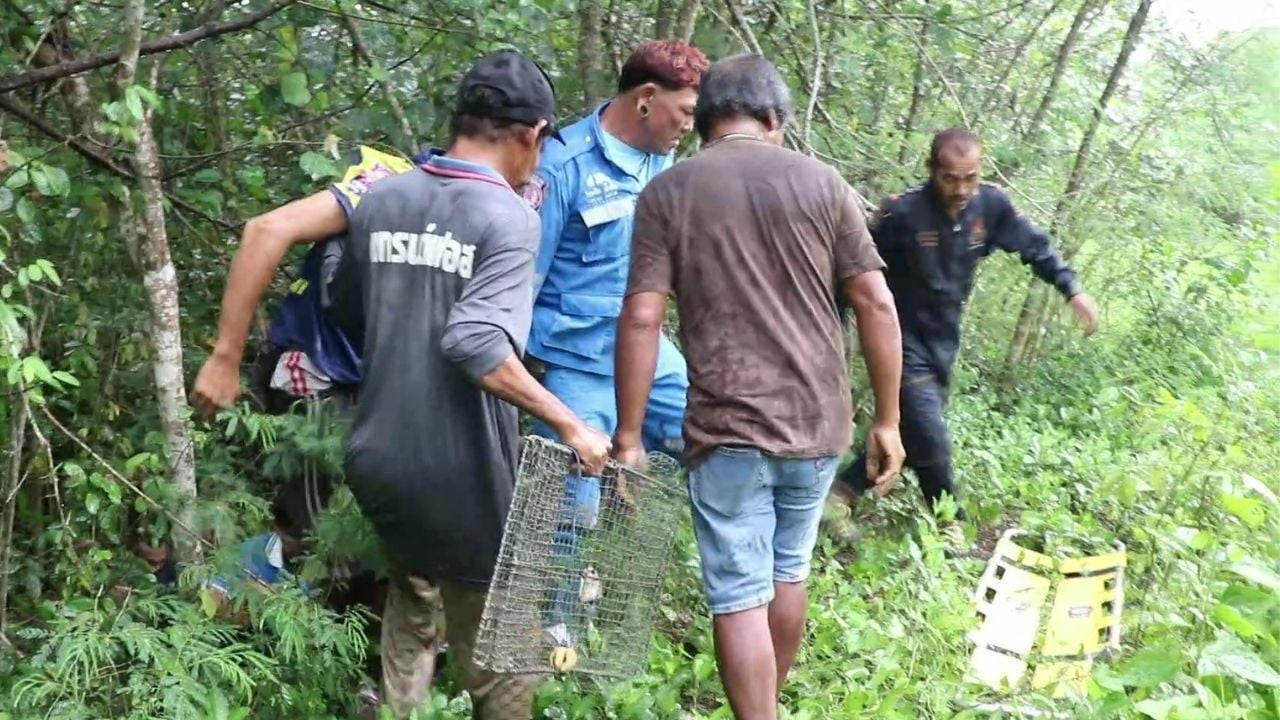Thai man found alive after seven days in muddy mangrove