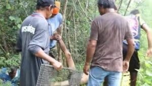 Presumed dead man found alive after week in mangrove mud