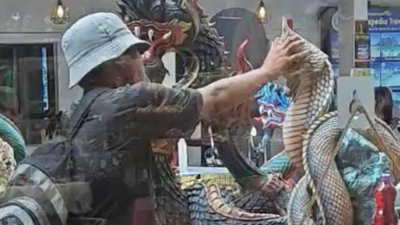 Foreign man caught on viral video kissing Naga statue in Phuket | News by Thaiger