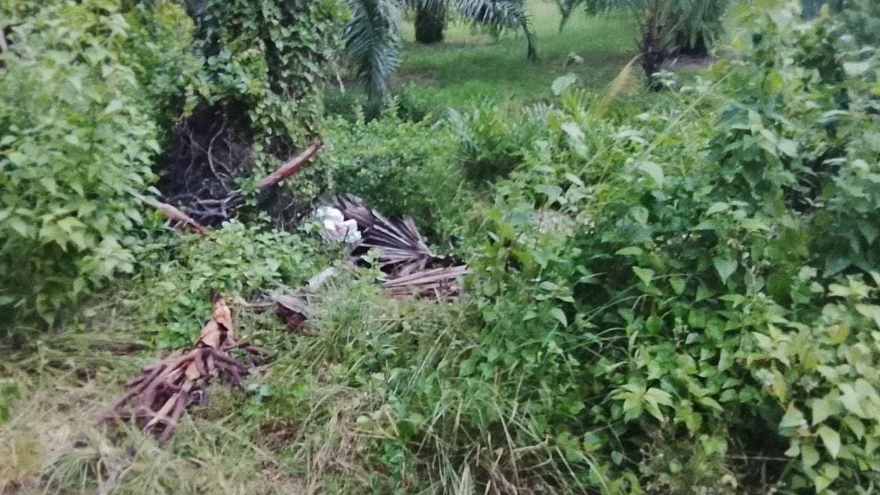 Body of unidentified man found in Nakhon Si Thammarat