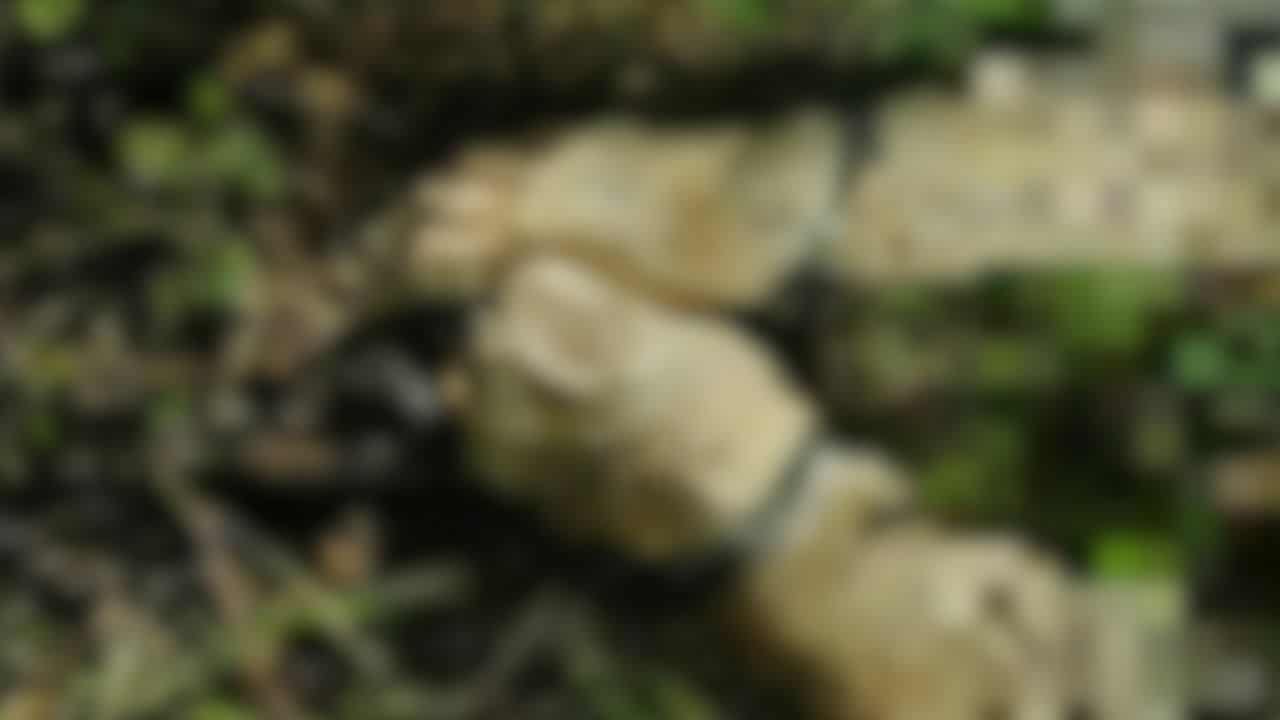Hand cuffed body found in Nakhon Si Thammarat plantation