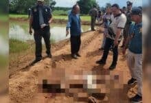 80 year old Thai man fatally shoots drug-addicted grandson in Isaan