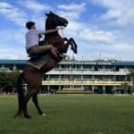 Neigh-sayers: Thai boy trots to school stardom | Thaiger
