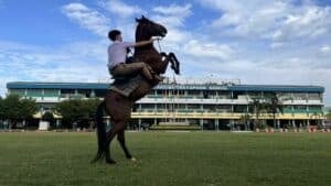 Neigh-sayers: Thai boy trots to school stardom