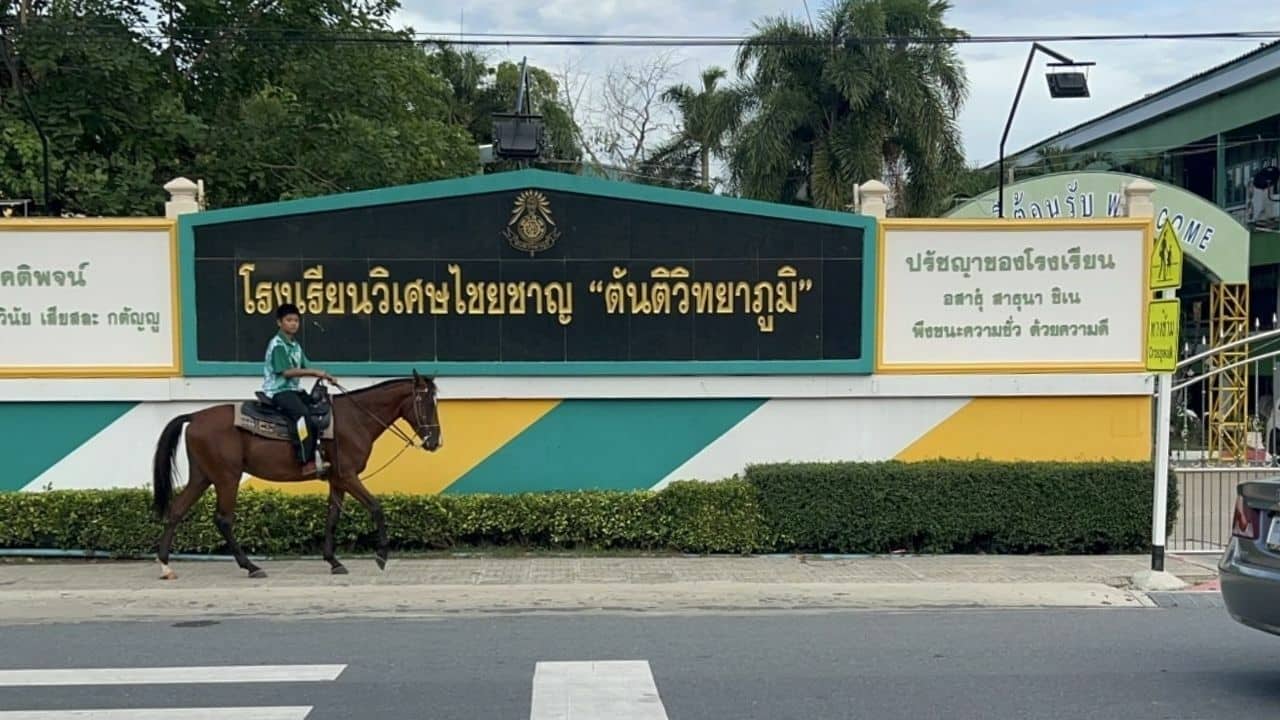 Thai boy rides horse to school