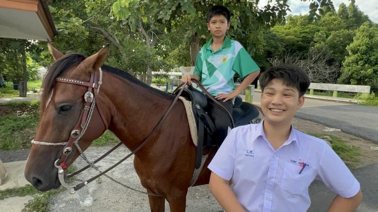 Two schoolboys with horse riding passion