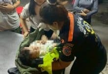 Laotian woman killed and baby injured as taxi driver speeds through zebra crossing