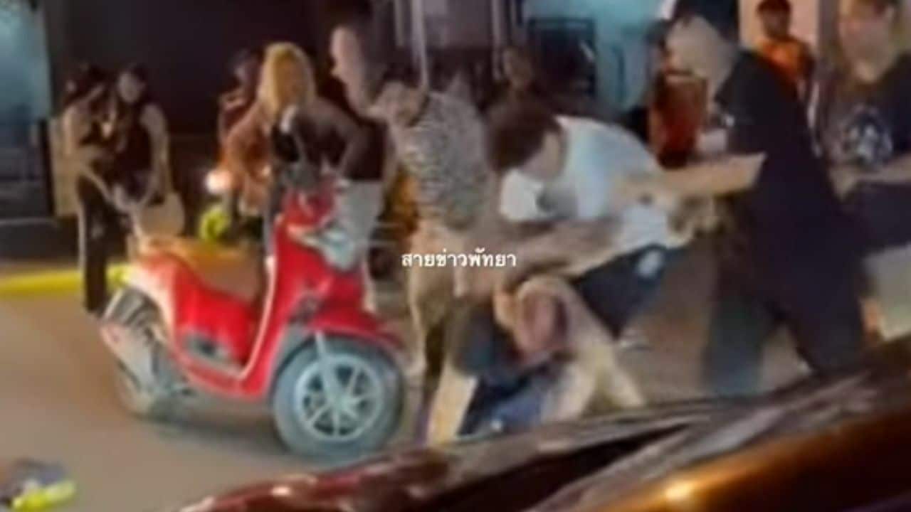Brawl erupts between Swedish national and Thai men in Pattaya | News by Thaiger