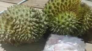 Desperate Thai mother pleads for son’s arrest after he trades durians for Yaba
