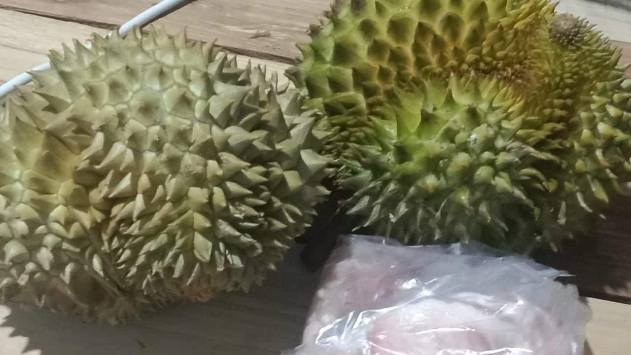 Desperate Thai mother pleads for son’s arrest after he trades durians for Yaba