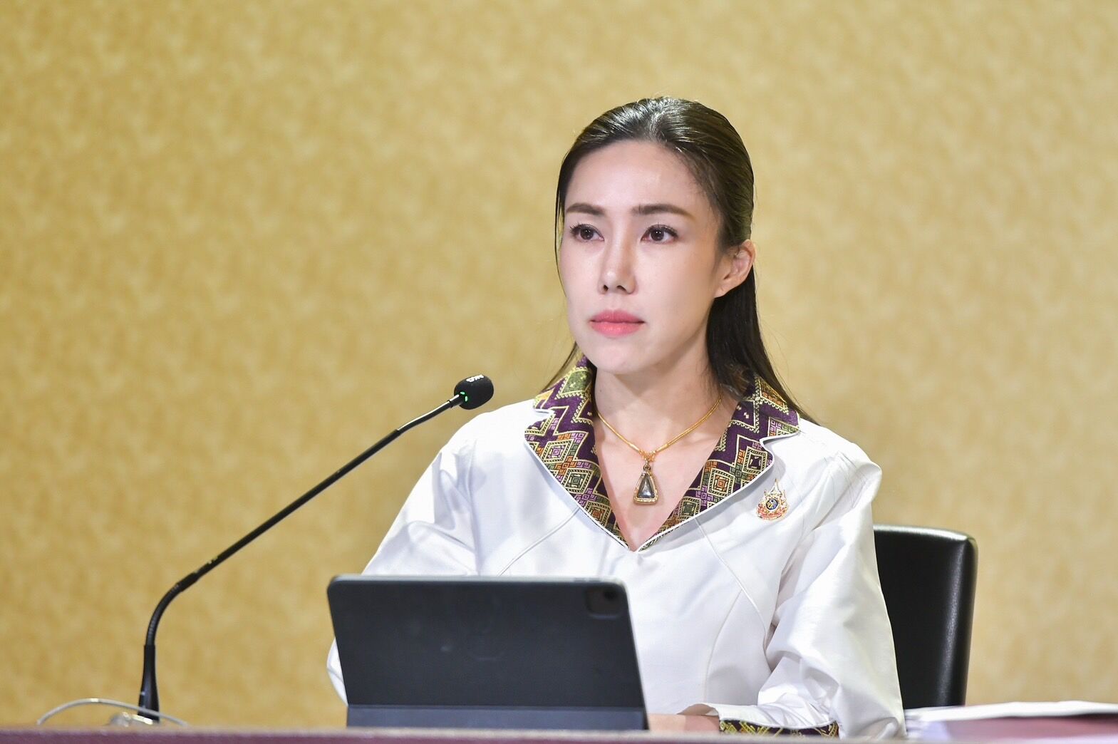 United Thai Nation Party in chaos over Cabinet reshuffle demands | News by Thaiger
