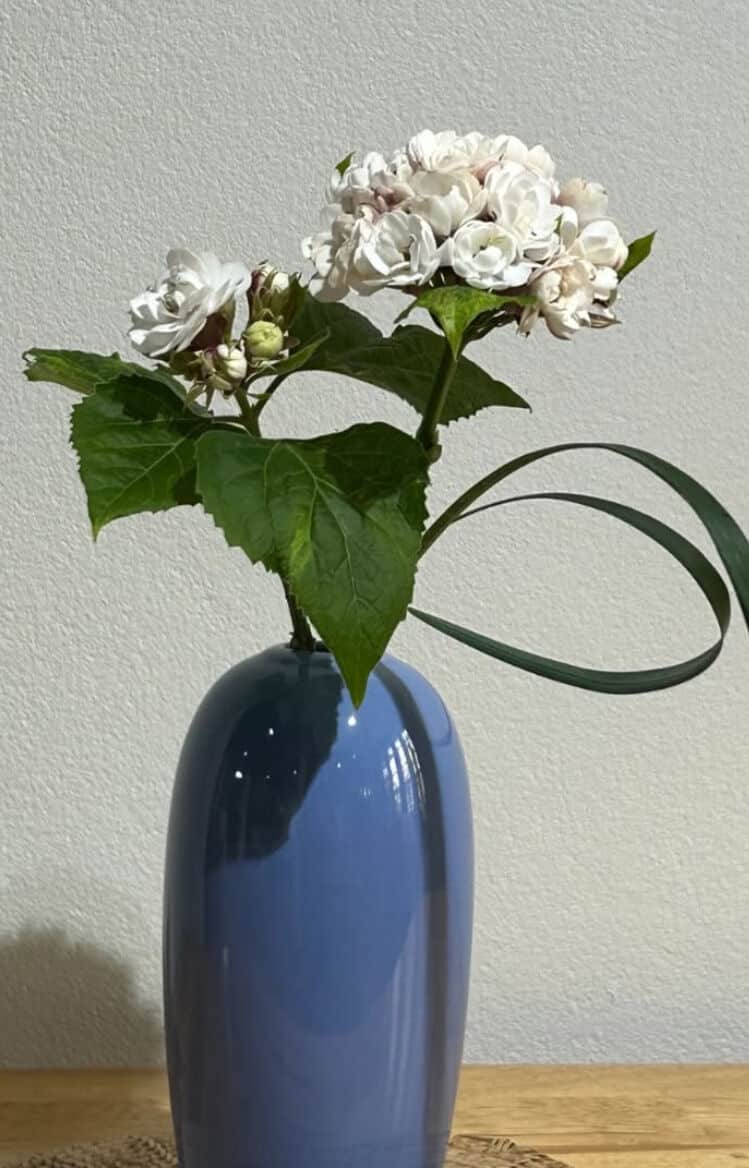 Inner Journey Through Flowers at Slowcombo Bangkok