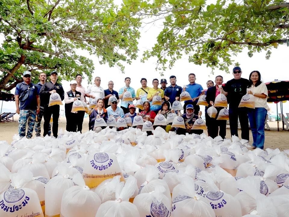 Pattaya releases 100,000 shrimp and sea snails to boost marine life | News by Thaiger