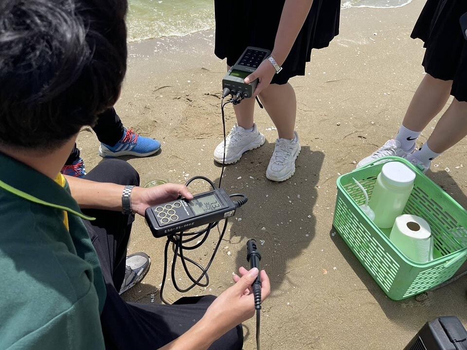 Pattaya beach turns green: Plankton bloom causes panic | News by Thaiger