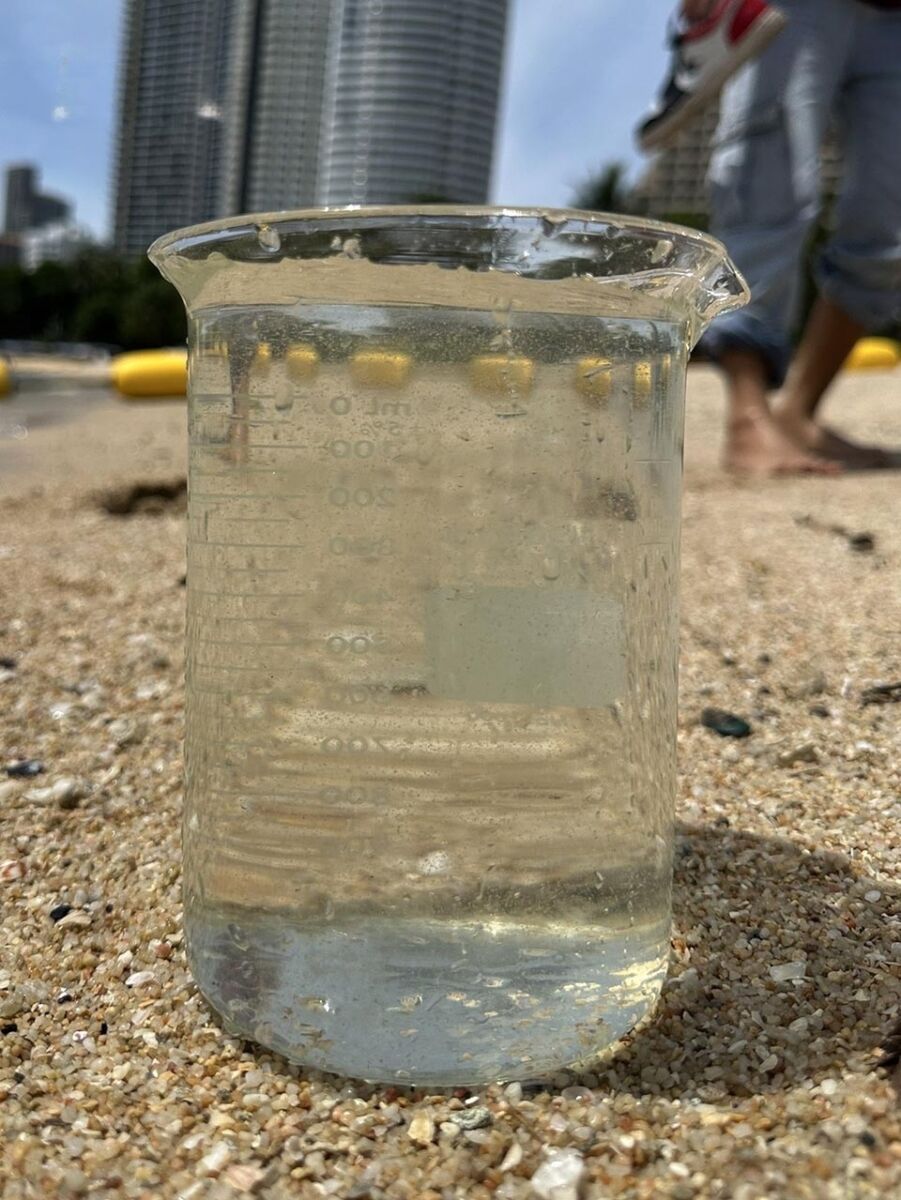 Pattaya beach turns green: Plankton bloom causes panic | News by Thaiger