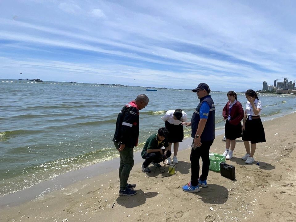 Pattaya beach turns green: Plankton bloom causes panic | News by Thaiger