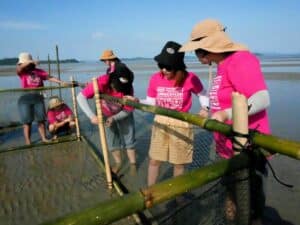Jungceylon steps up to protect and restore seagrass for dugongs
